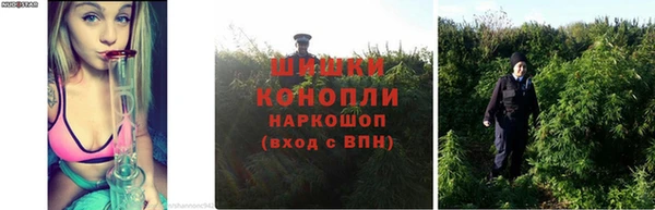 наркотики Михайловск