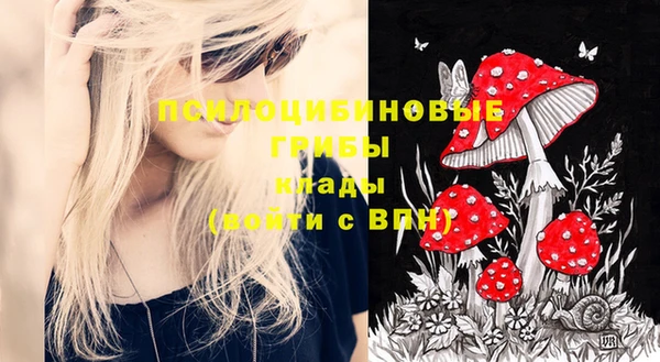 PSILOCYBIN Беломорск