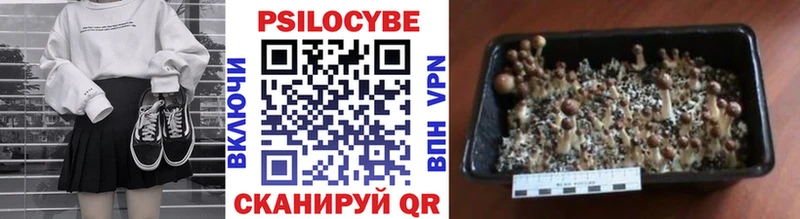 купить  сайты  Бологое  Галлюциногенные грибы ЛСД 